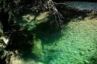 La battaglia a lieto fine di Aran Cosentino per difendere il suo torrente sulle Alpi