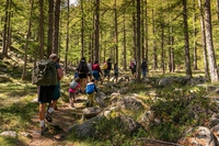Il Parco nazionale delle foreste casentinesi nella Green list dell’Iucn