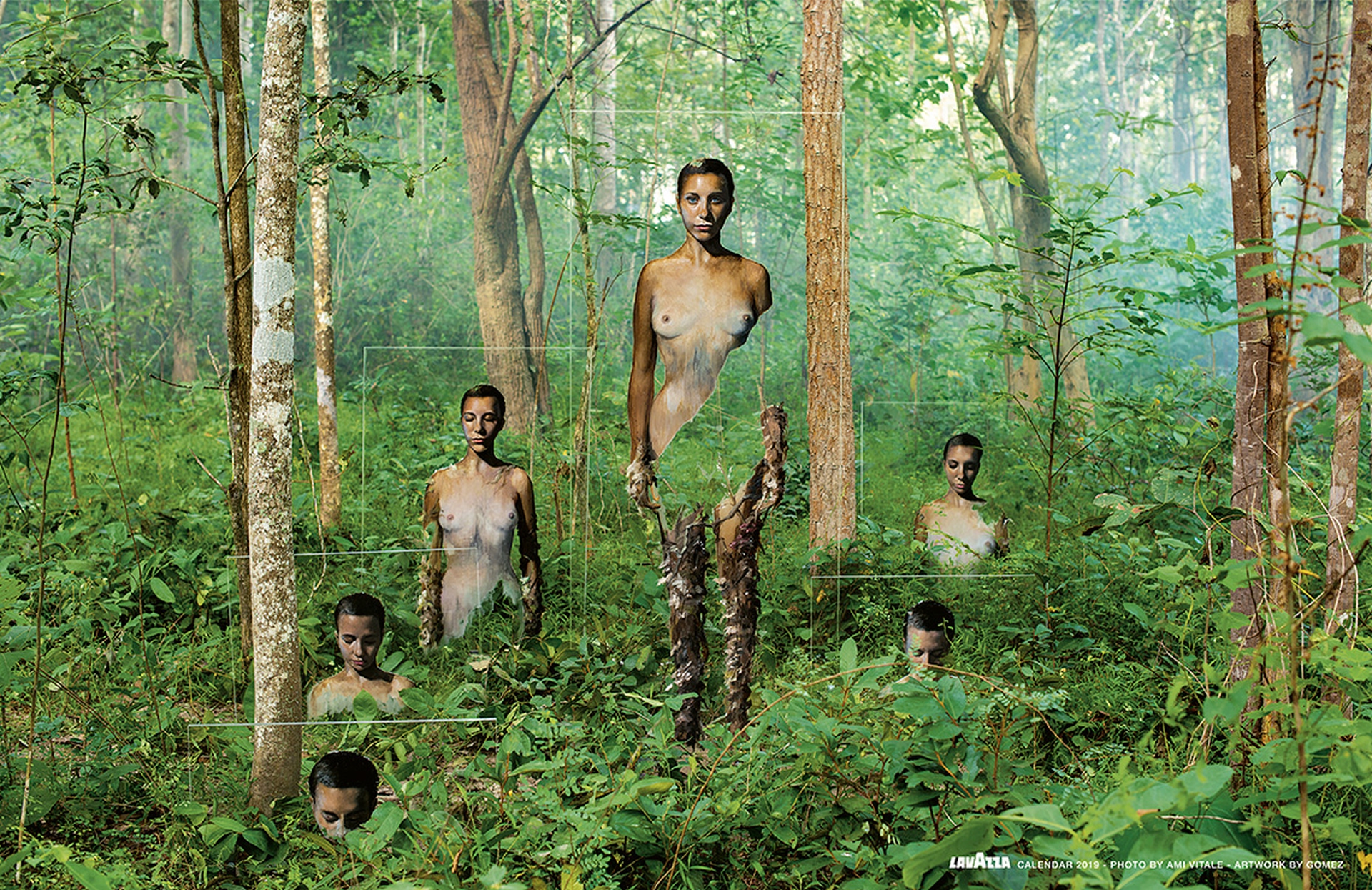 Settembre, calendario Lavazza 2019 - Dendrochronology, di Gomez, a Petchaburi, Tailandia