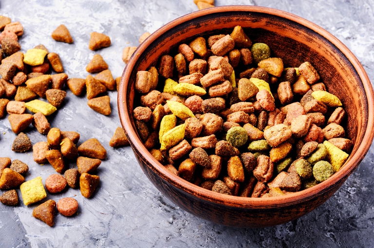 alimentazione del gatto