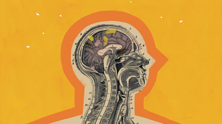 Le guide di Headspace meditazione 