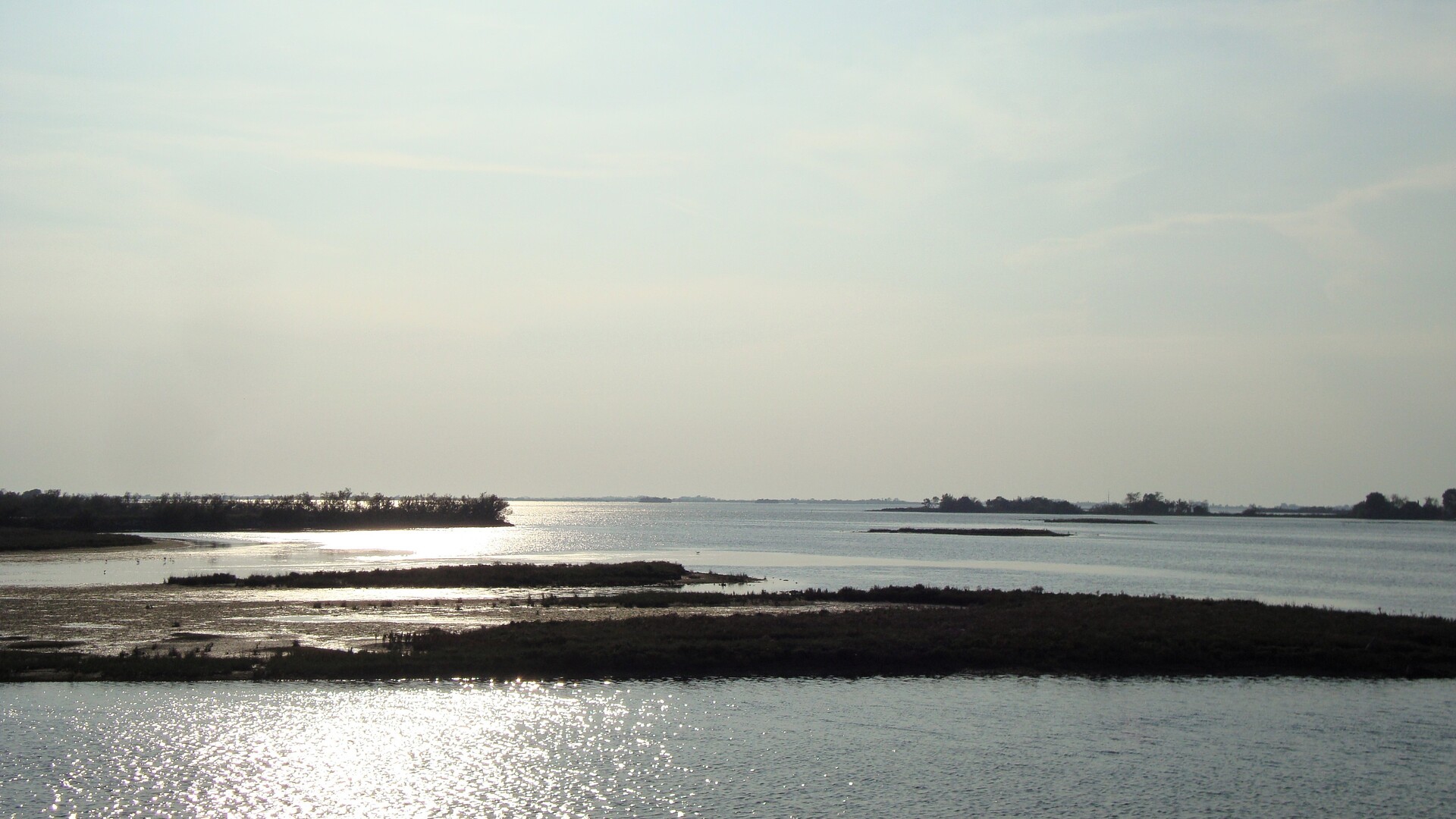 La laguna di Grado © paola piacentini
