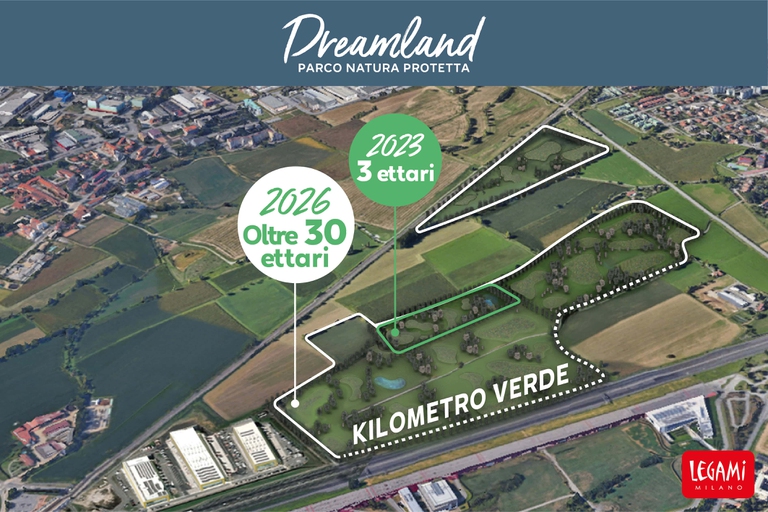 LEGAMI DREAMLAND