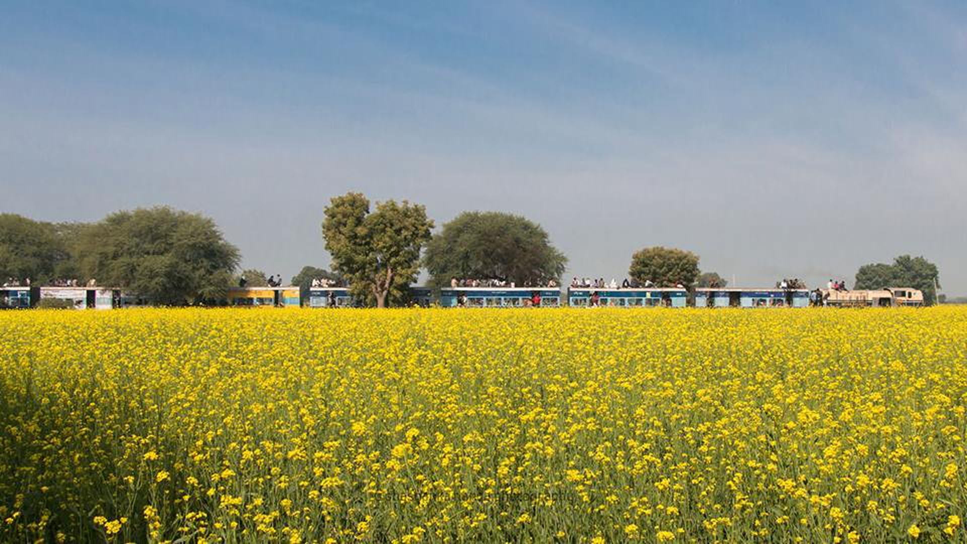 treno campagne india