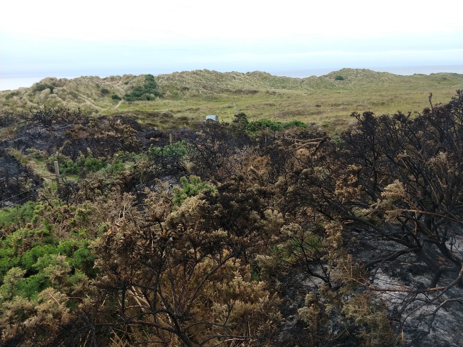 Small fire at Murlough