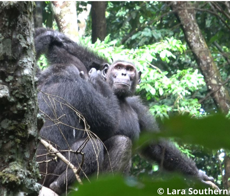 Aiuto nella medicazione