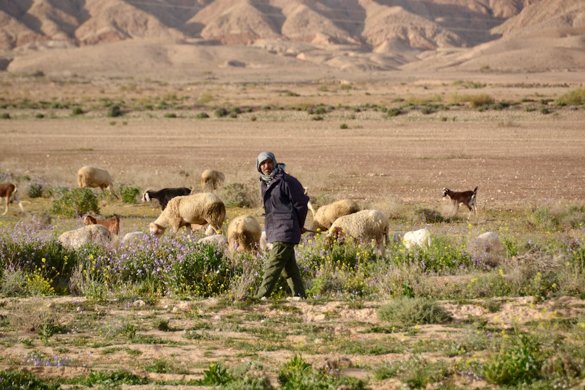 La Tunisia attraversata dalla crisi economica4_1