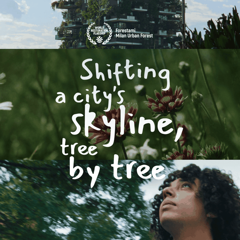 Cambiare l'orizzonte di una città, un albero alla volta. Il progetto Forestami è stato premiato dalle Nazioni Unite alla Cop17 come World Restoration Flagship