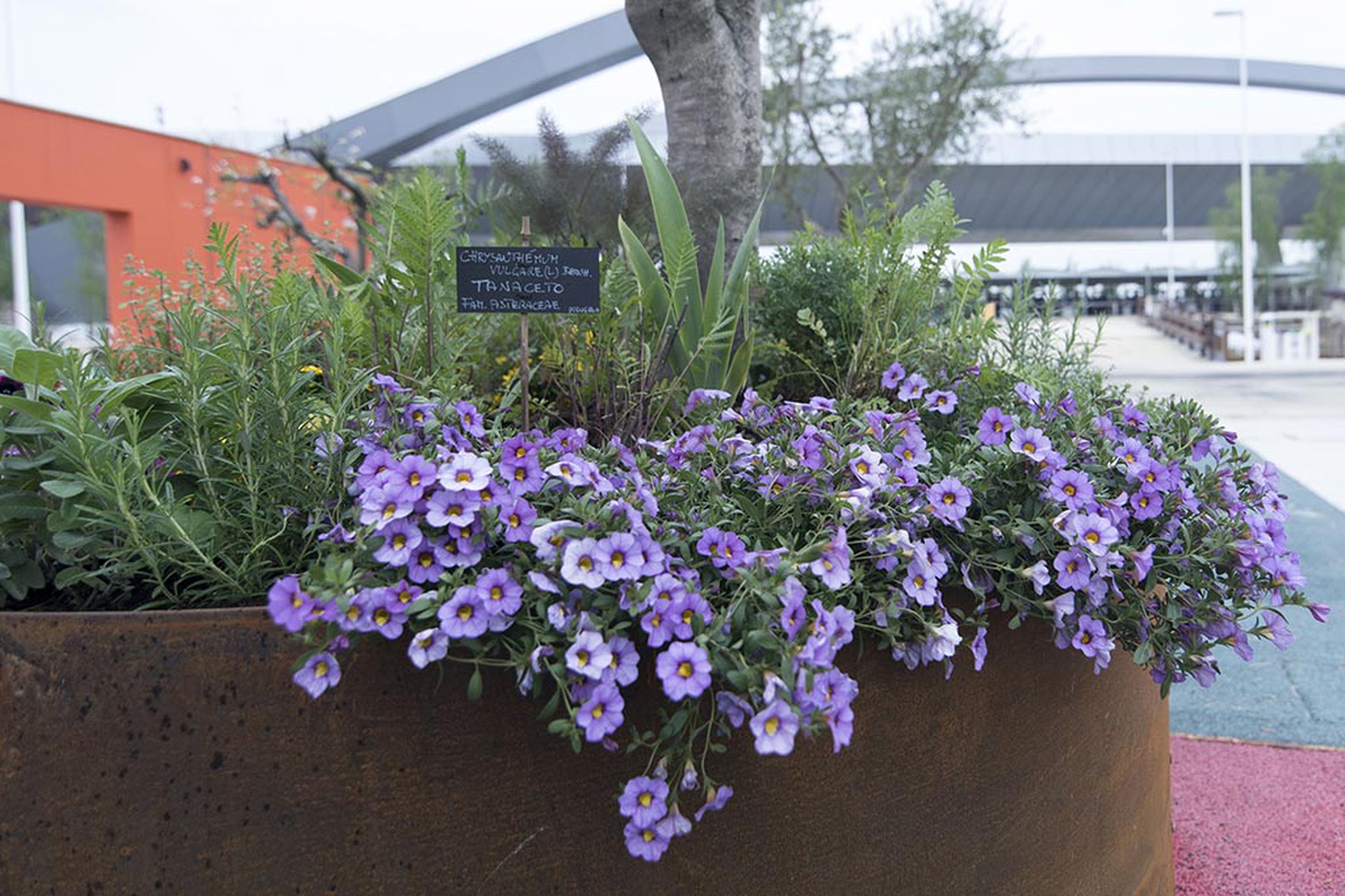 biodiversity-park-fiori