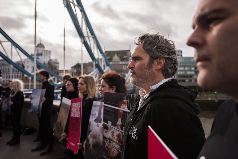 Joaquin Phoenix Animal Equality
