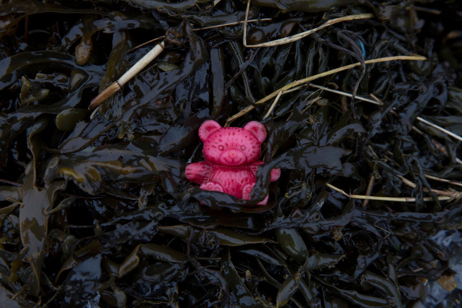 Plastic found along the UK coastline