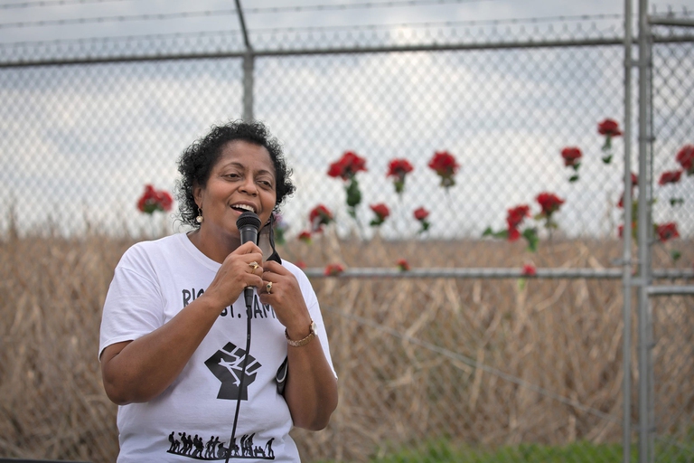 Sharon Lavigne, Goldman Environmental Prize