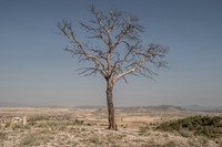 Al via la Cop15 desertificazione ad Abidjan, in Costa d’Avorio