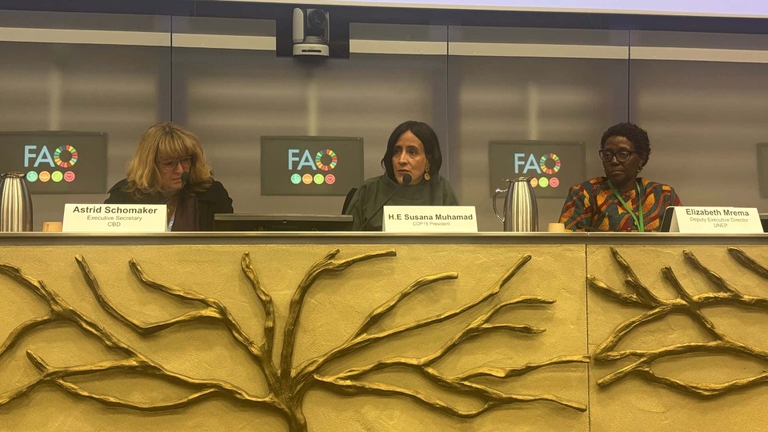 Presidente Muhamad Cop16