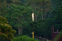 Il gas flaring avvelena l’Amazzonia, una spedizione italiana ne studierà l’impatto