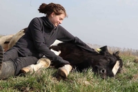 People are googling the word “vegan” more than ever