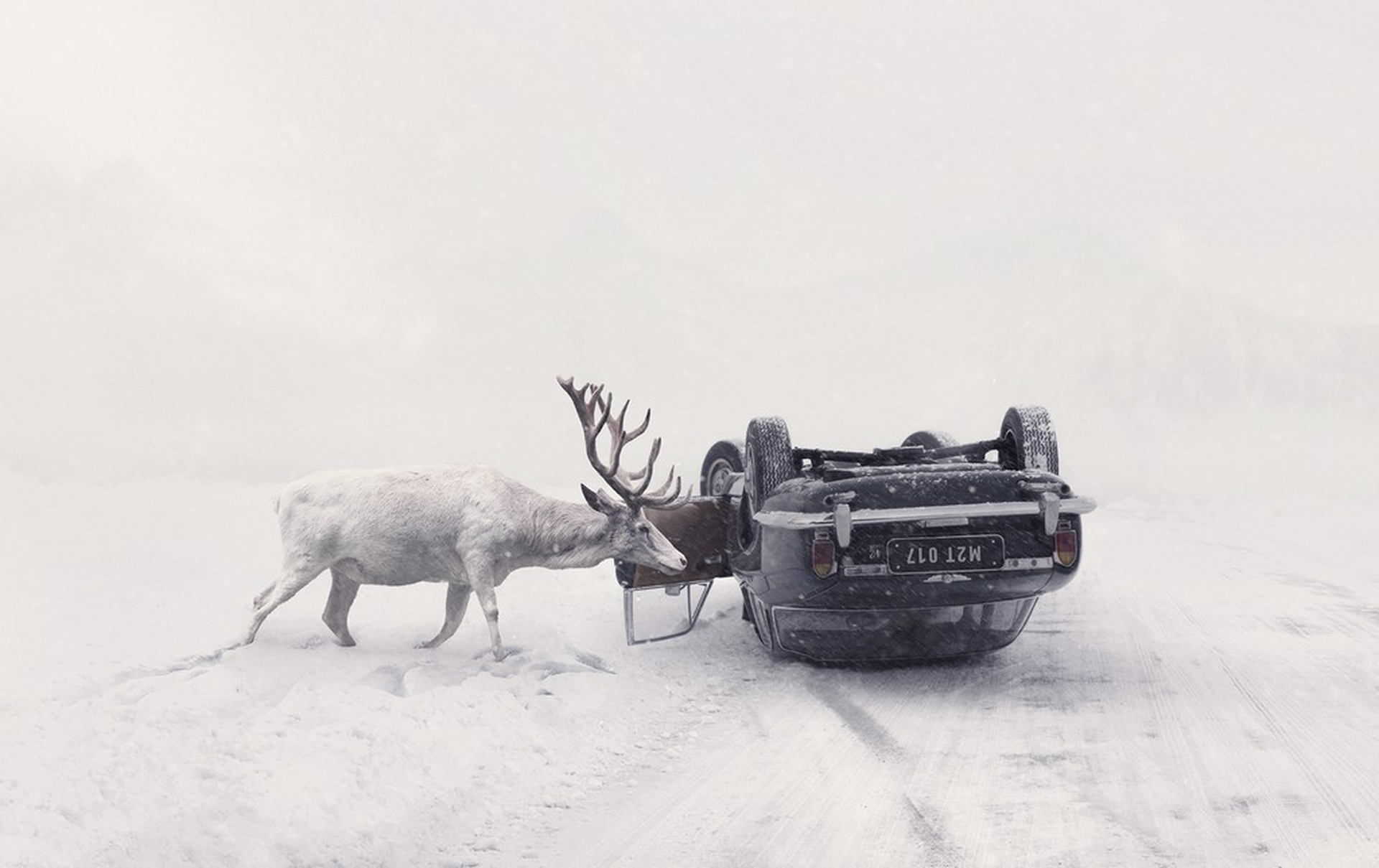 Until you wake up, Martin Stranka – Sony World Photography Awards 2018