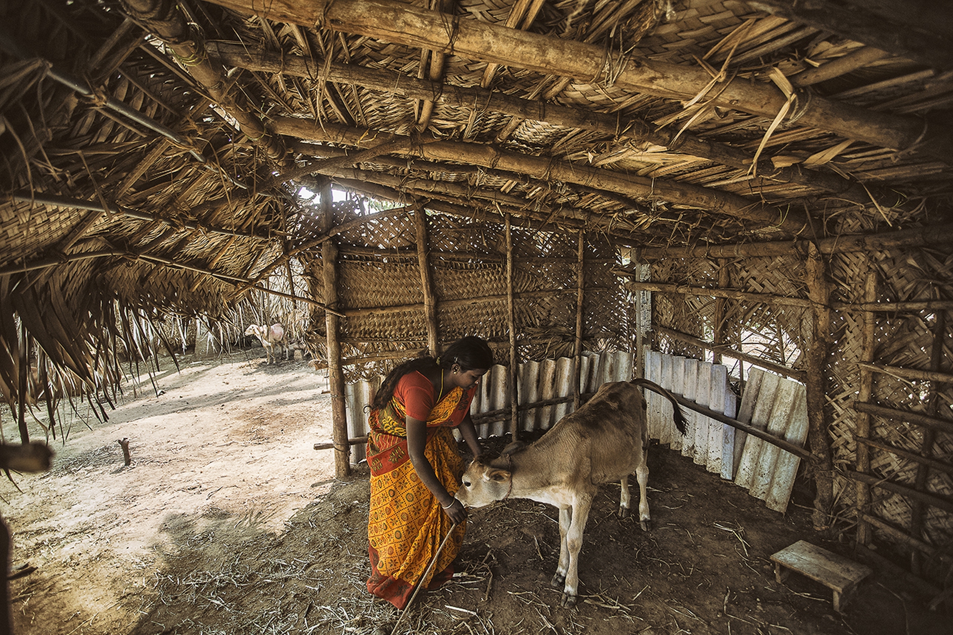 Karthiga. Tamil Nadu, India © Stefano Stranges