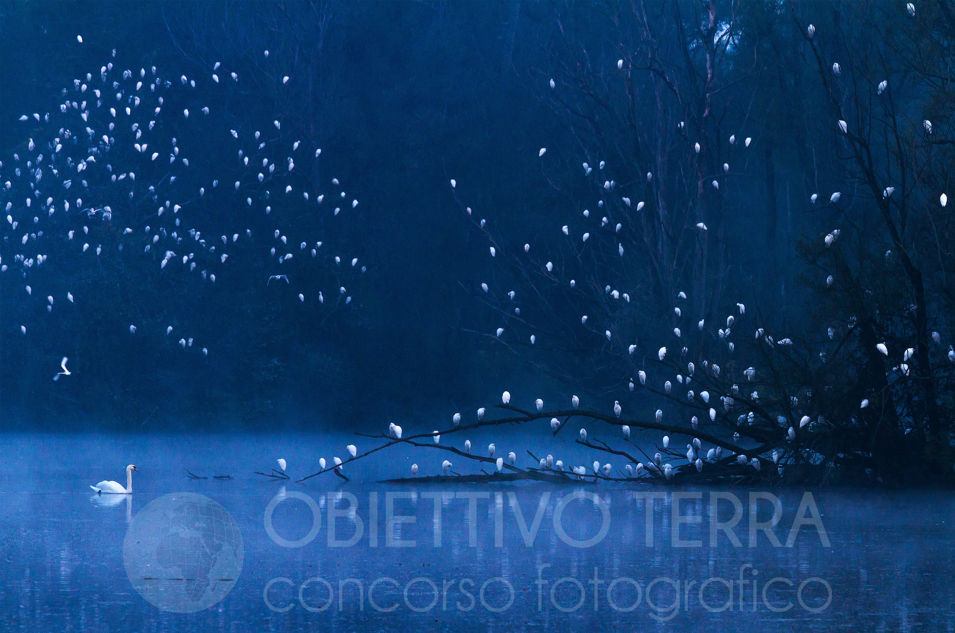 BIAGI (Fiumi e Laghi) Obiettivo terra 2021