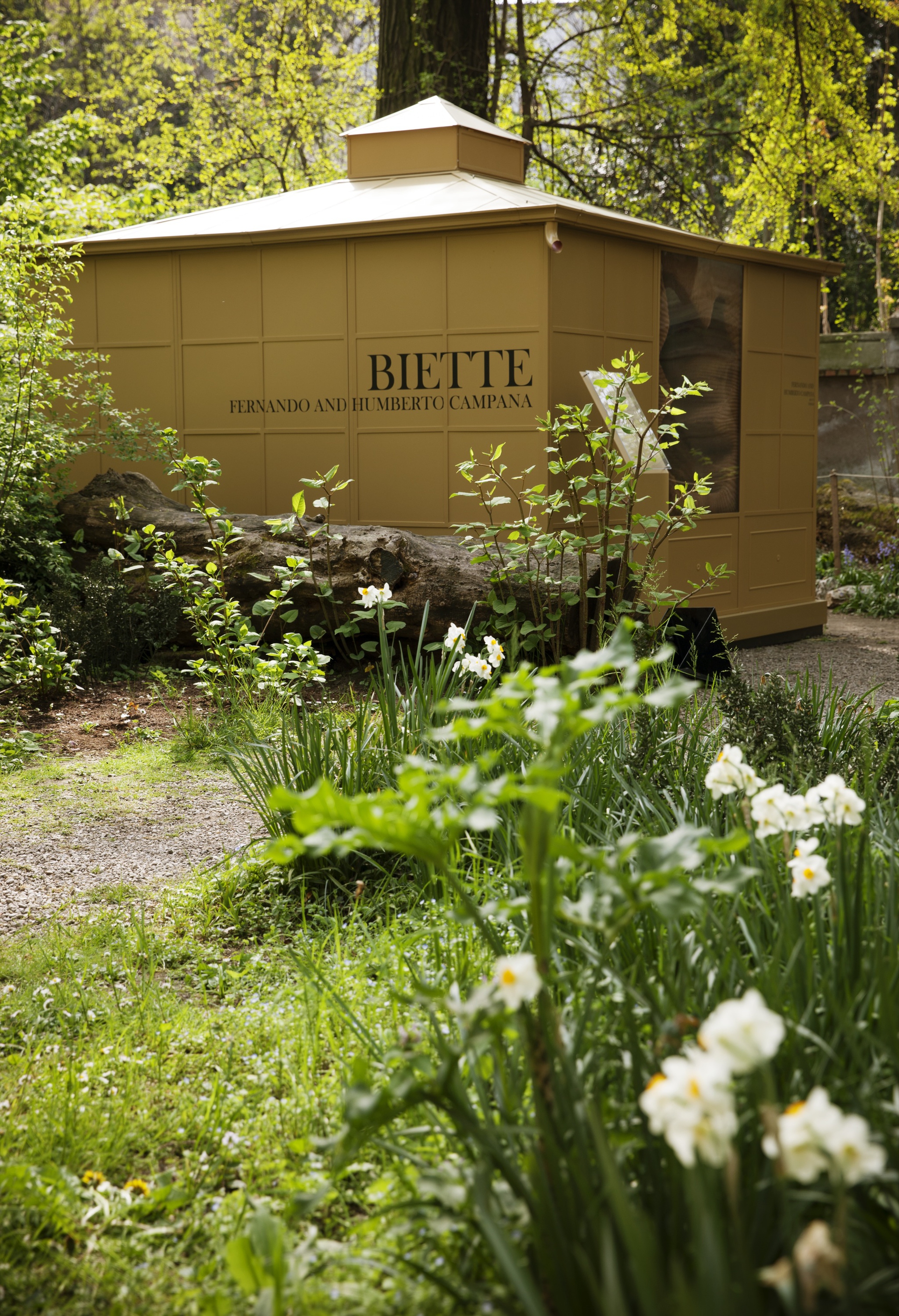 The Garden of Winiders_installation view 3_ph Adriano Brusaferri