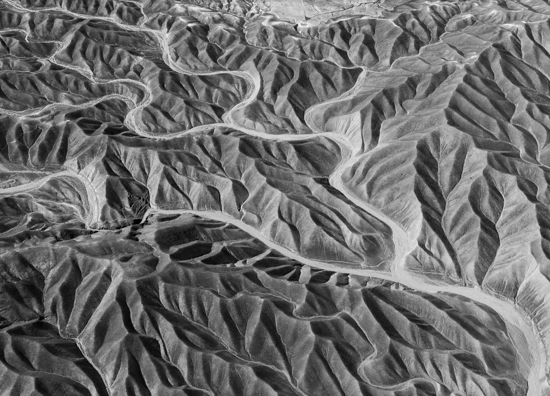 13 - Tenous Lines, Annette Widitz