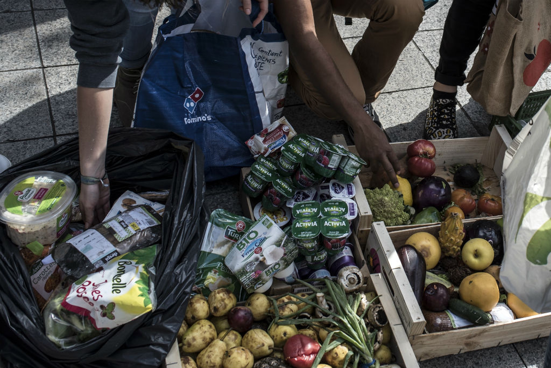 Food sustainable index, cibo sostenibile