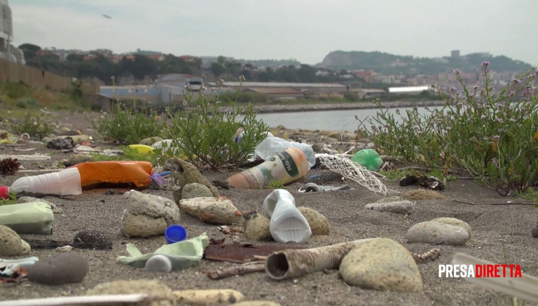 presadiretta bottigliette plastica italia