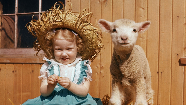Una bambina con un agnello