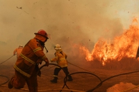 Il 2020 è stato l’anno più caldo insieme al 2016