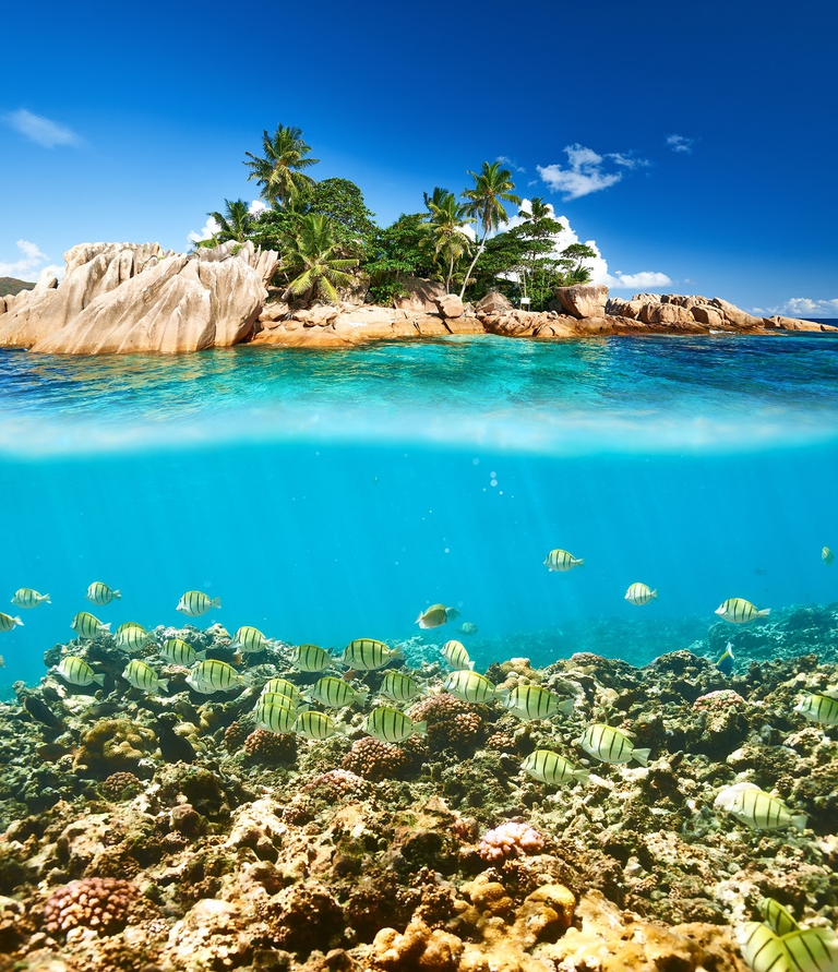 seychelles, coral reef, marine protection