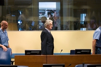 Radovan Karadžić has been sentenced to 40 years, for Srebrenica genocide and other crimes