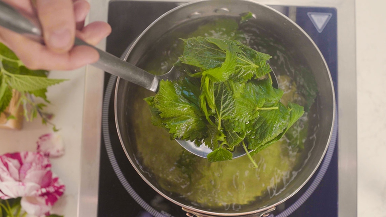 risotto alle ortiche