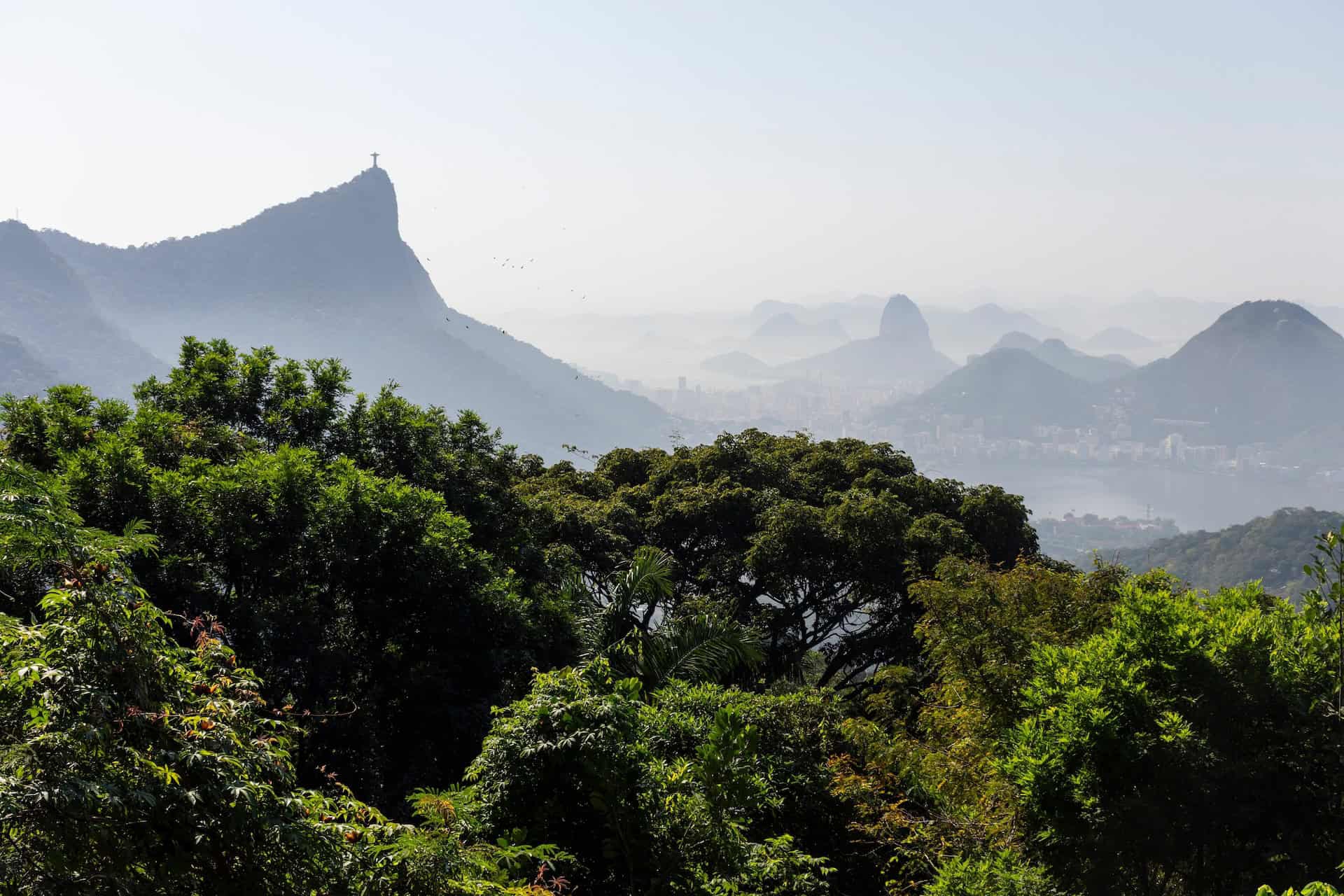 foresta urbana di Tijuca a Rio de Janeiro