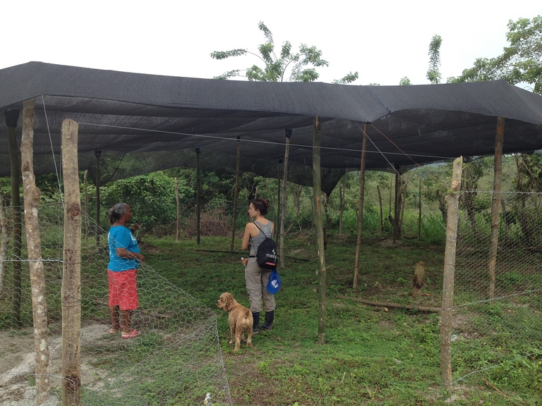 colombia-environomica