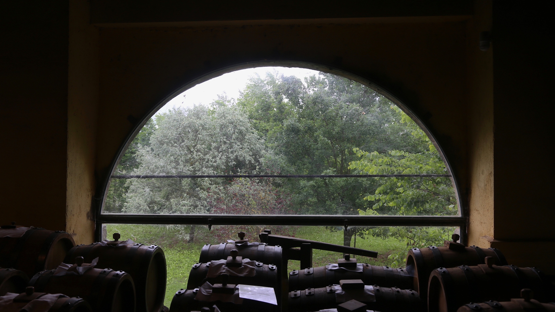 La natura intorno all'acetaia San Giacomo