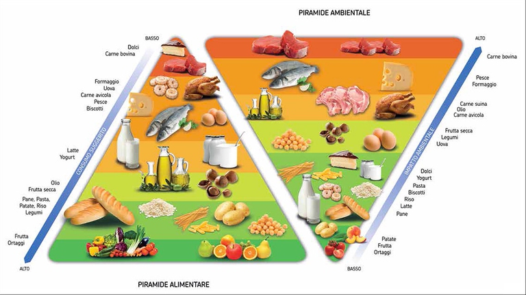 Emerge chiaramente che gli alimenti a minore impatto ambientale sono gli stessi per i quali i nutrizionisti consigliano un consumo maggiore, mentre quelli con un’impronta ambientale più marcatamente negativa per il Pianeta sono quelli che andrebbero consumati con moderazione. 