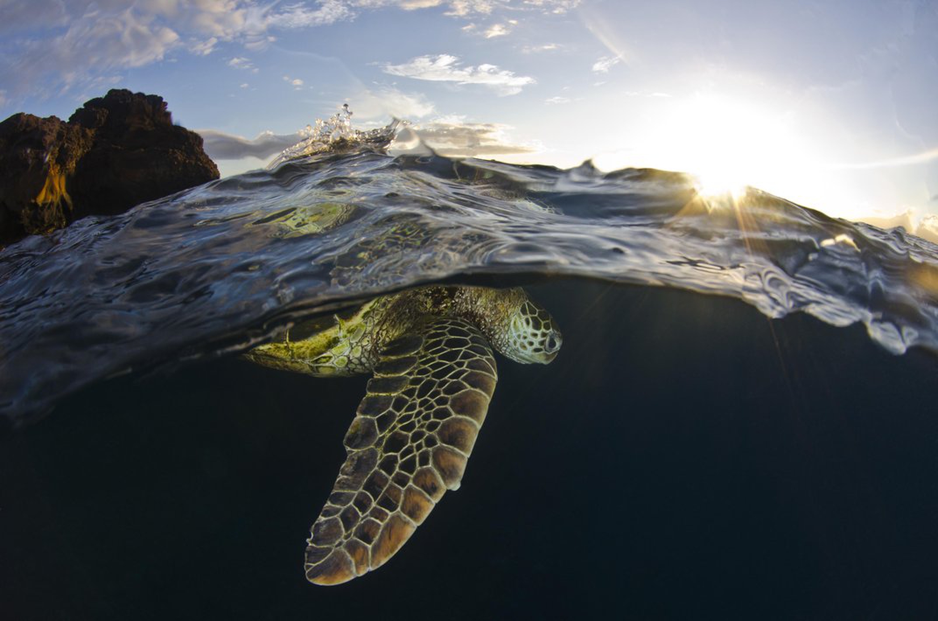 Le 10 foto di natura più belle dell'anno per lo Smithsonian
