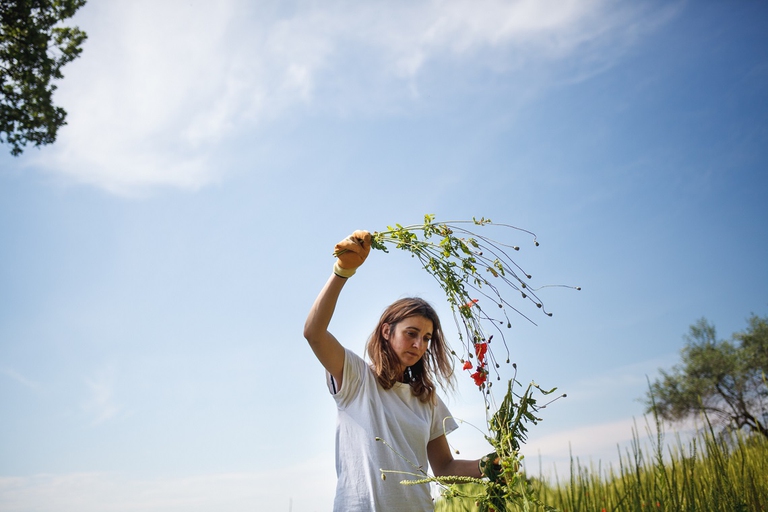 Ragazza che lavora in un campo, restartapp 2020