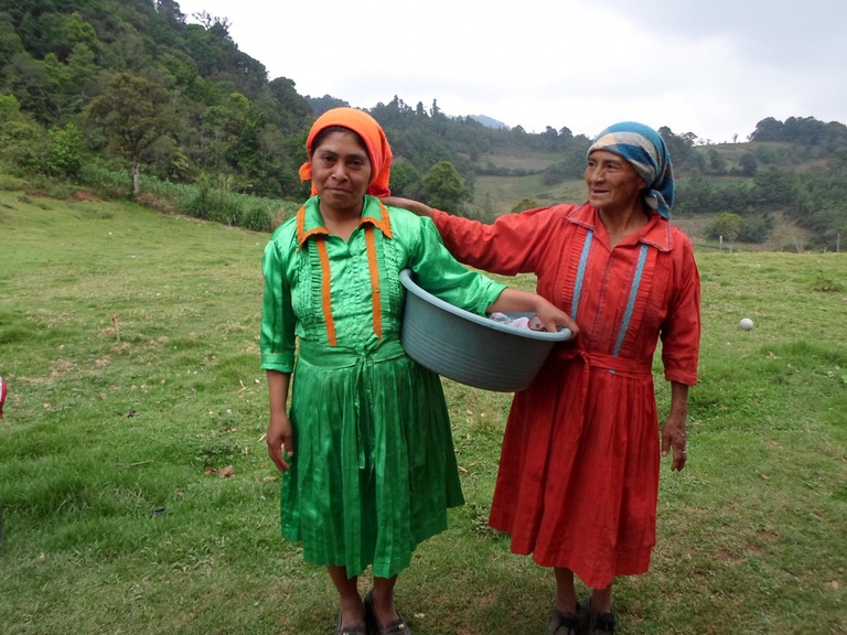 lenca, honduras, amnesty international
