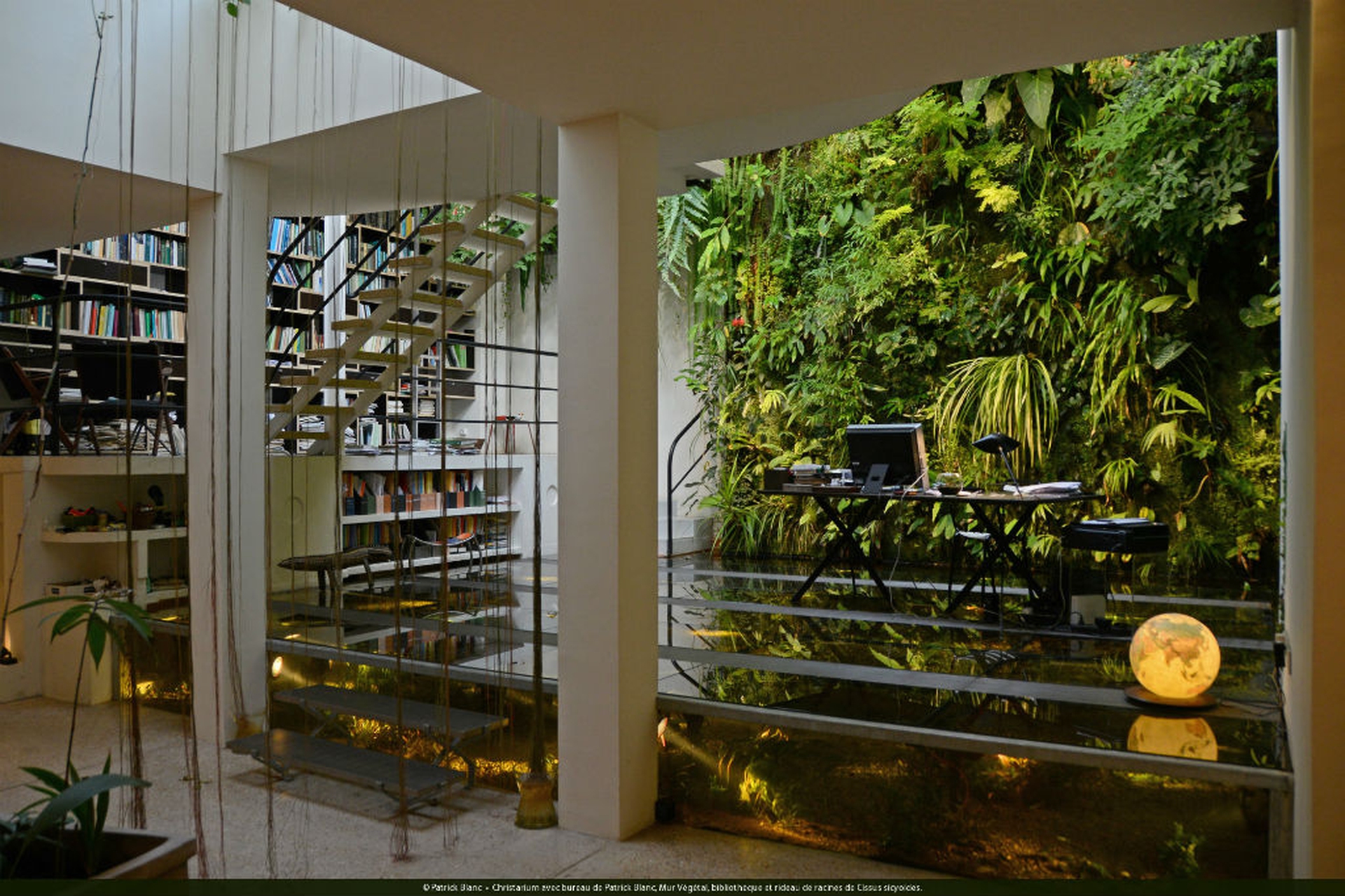 Uffiicio a Parigi di Patrick Blanc