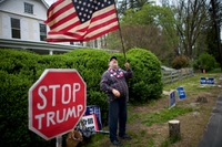 Who will face Donald Trump in the US elections? A guide to the Democratic primaries
