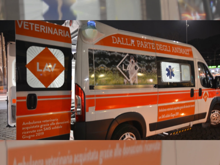 ambulanza Lav