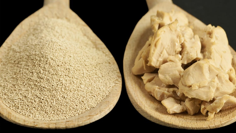 Il lievito può essere in polvere (secco) o fresco. ©Ingimage