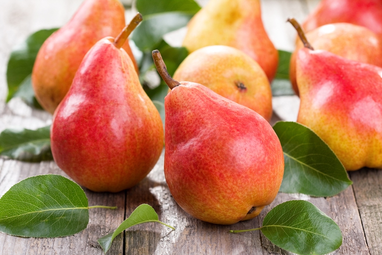 pears fibres diseases