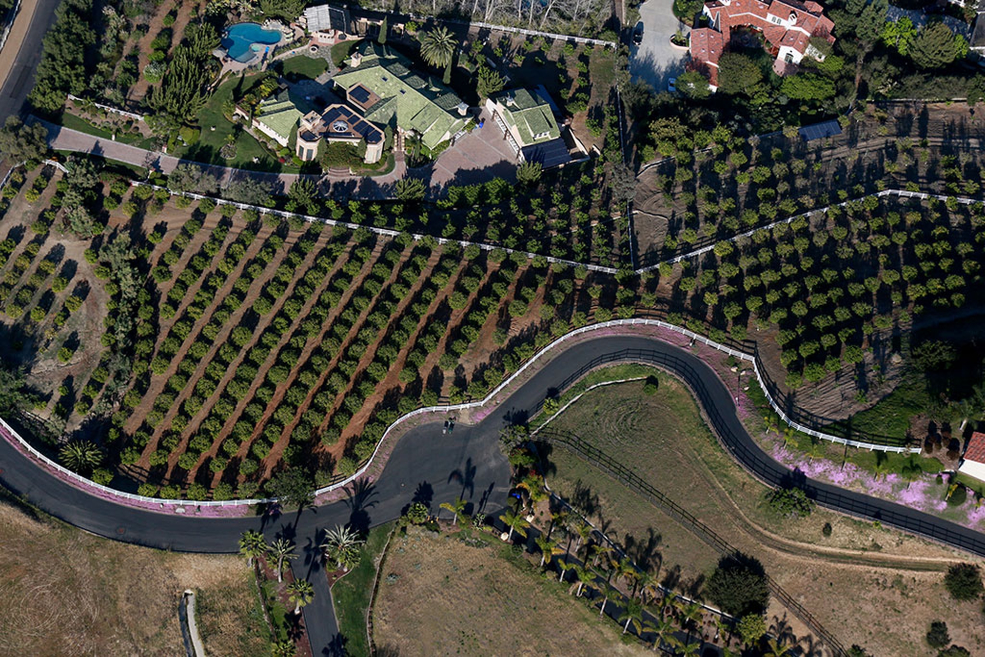 california-siccita-13
