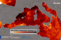 Il mar Mediterraneo è bollente: la temperatura in superficie supera di 4 gradi la media