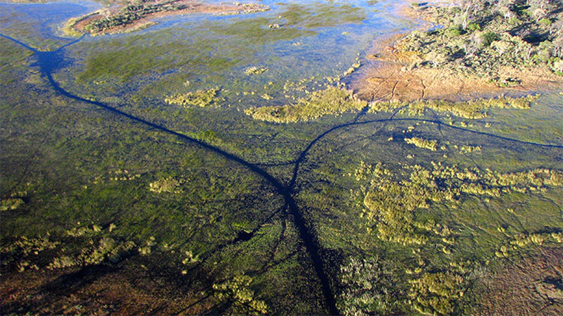 okavango9