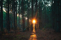 What is carbon neutrality and how can we achieve net zero emissions