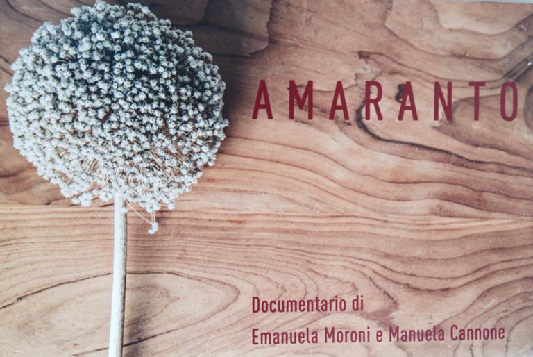 13087477_1603830129935246_4113495939348158910_n