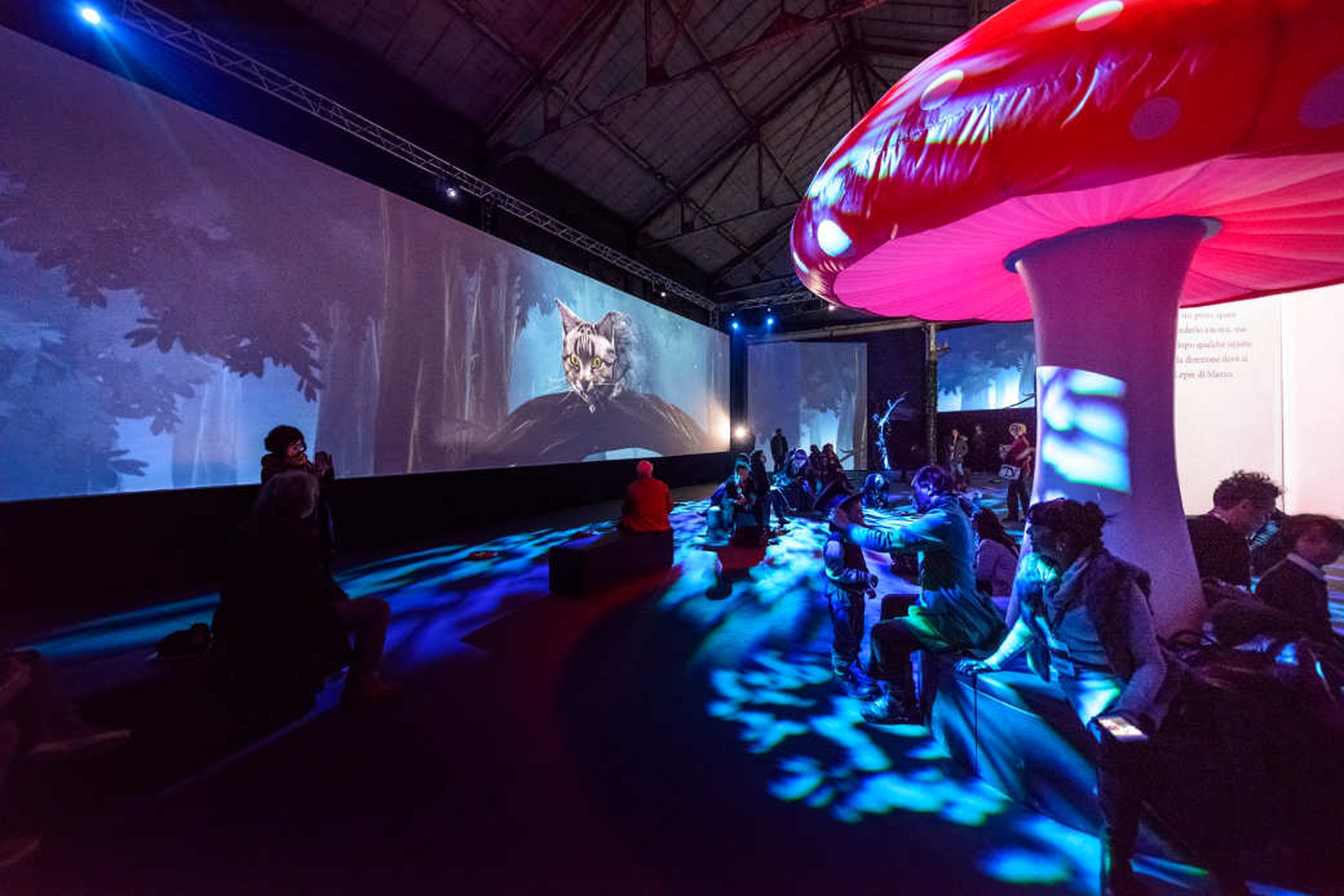 The Adventures of Alice